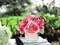 Artificial Flowers in Vase Fake Silk Hydrangea Rose Flower Arrangement Faux Potted Flowers for Indoor Home Bathroom Office Table Shelf Decor, Pink